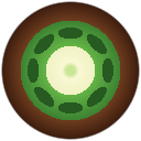Kiwi Language